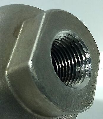 Primary Fluid Systems APIF-SS-E-1 300 psi Stainless Steel Pulsation Dampener