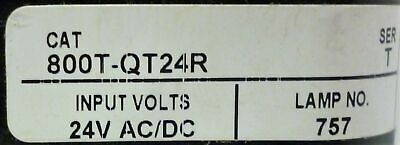 Allen-Bradley 800T-QT24R Red Illuminated Pushbutton