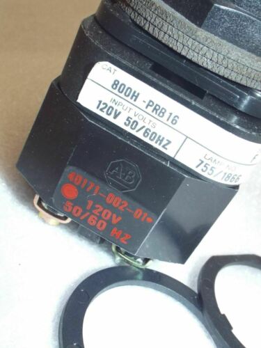 Allen-Bradley 800H-PRB16W Illuminated Head Push Button 120V