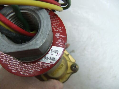 Veeder Root Valve 514100-279