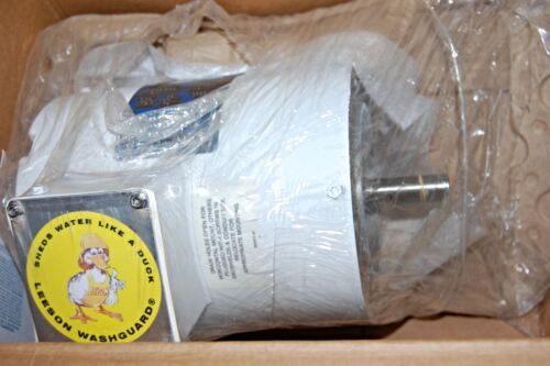 Leeson 113022 00 Washguard Motor