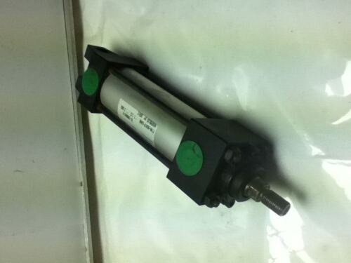 Numatics P1AK-03A1P-CAA0 CYLINDER