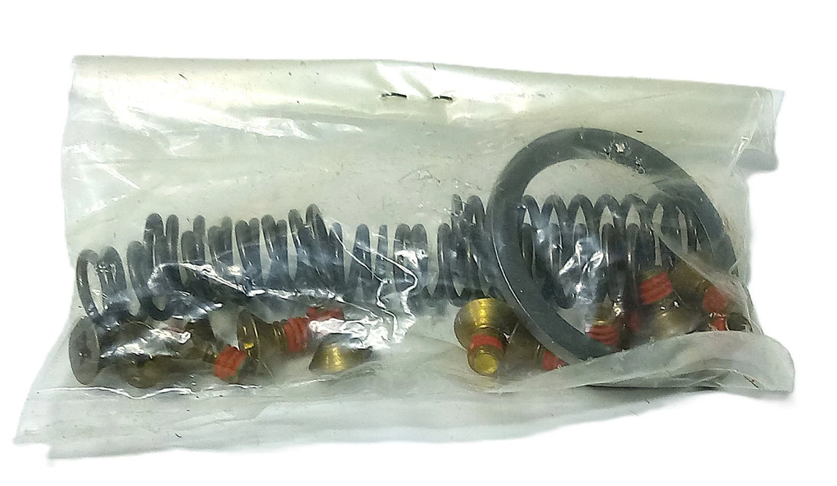 Nexen Group 930200 Horton Brake Repair Kit for MBU-375 Series Brakes