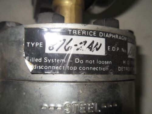 1 TRERICE 8762AN PRESSURE GAUGE