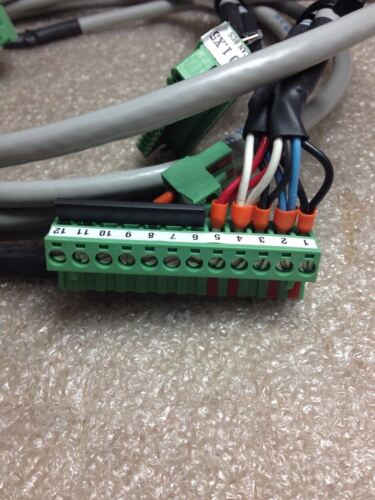 LUMBERG 0002652 CORDSET
