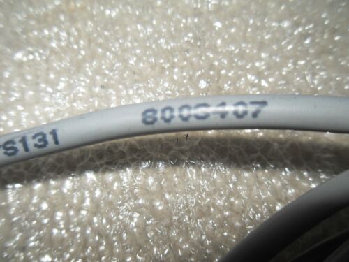 Bielomatik WWAKRT4.4P3-6/S110/S131 8008407 Eurofast Cordset