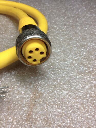Turck U5160 Minifast Molded Cordset