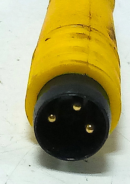 Turck BI3-Q06-AN6X2-0.3-PSG3M 1620183 10-30 V DC Inductive Proximity Sensor