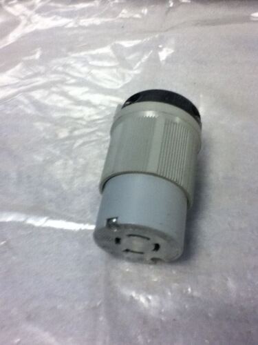 Arrow Hart AH6422 Plug