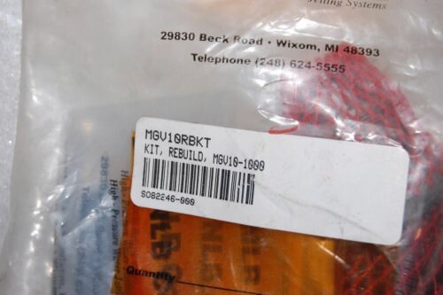 NLB CORP MGV10RBKT REBUILD KIT