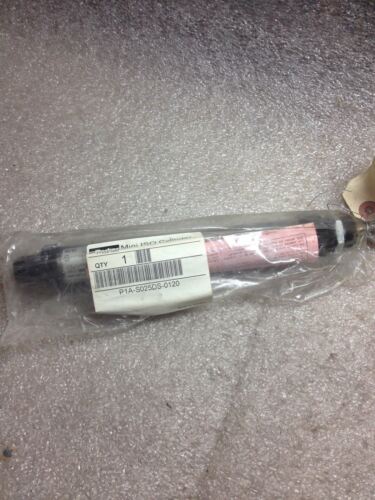 Parker P1A-S025DS-0120 Mini Cylinder