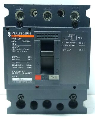 Schneider Electric NSE100-N-TM15 NENL34015 480 V AC 15 A Circuit Breaker
