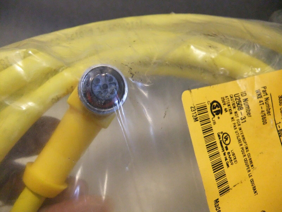 Turck Eurofast Cordset WKE 4T-4/S600