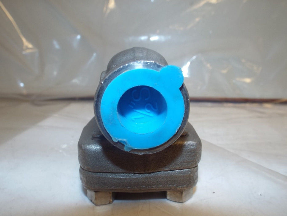 Warren Swing Check Valve 803HF