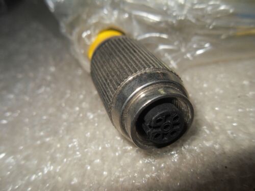 Turck RKG 4.4T-4/S600 MOLDED CORDSET
