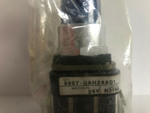 Allen-Bradley 800T-QAH24RD1 Illuminated Pushbutton